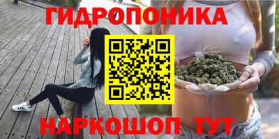гашиш Аша