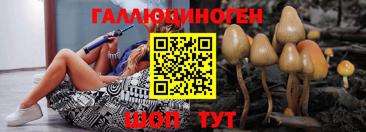 Псилоцибиновые грибы прущие грибы  Вход с VPN  Богородицк 